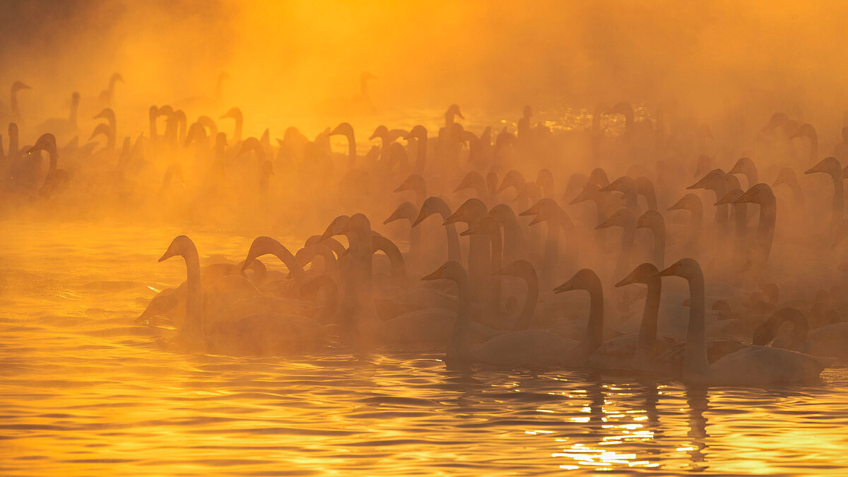 Морозно...На закате - владимир 