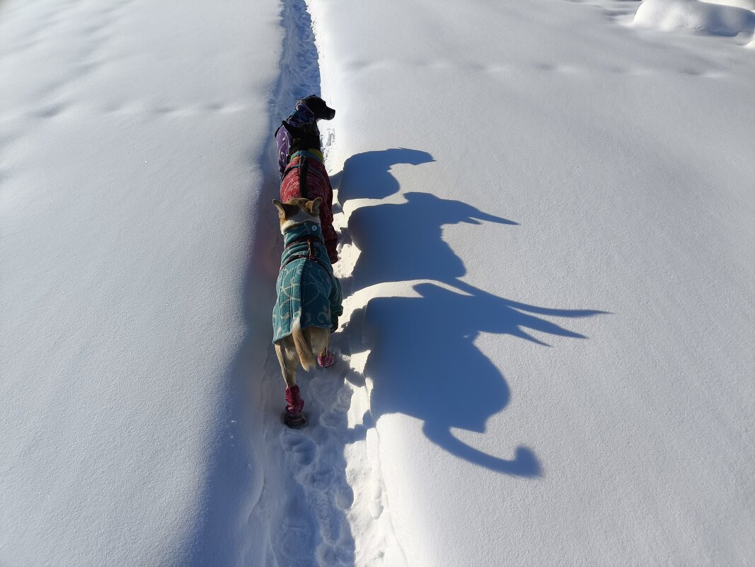 Караван - Anna Ivanova Караван - Anna Ivanova