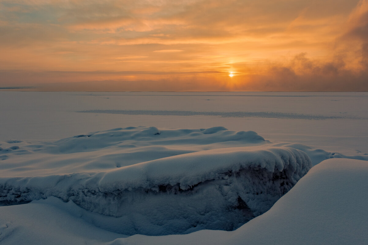 **** - Алексей Мезенцев