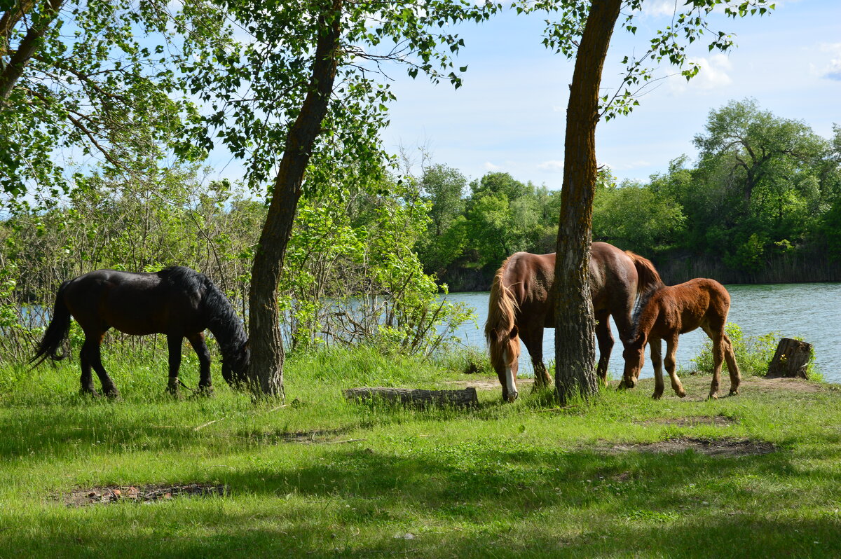 Весна. - Виктор 