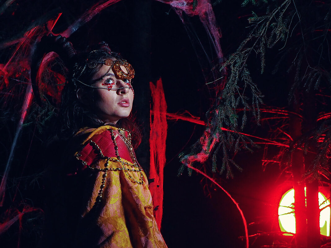 Посланница ночи. - Валерий Гришин