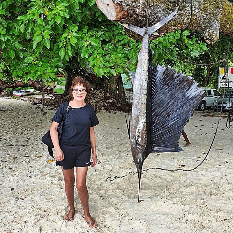 РЫБА - ПАРУСНИК - Анатолий Малобродский