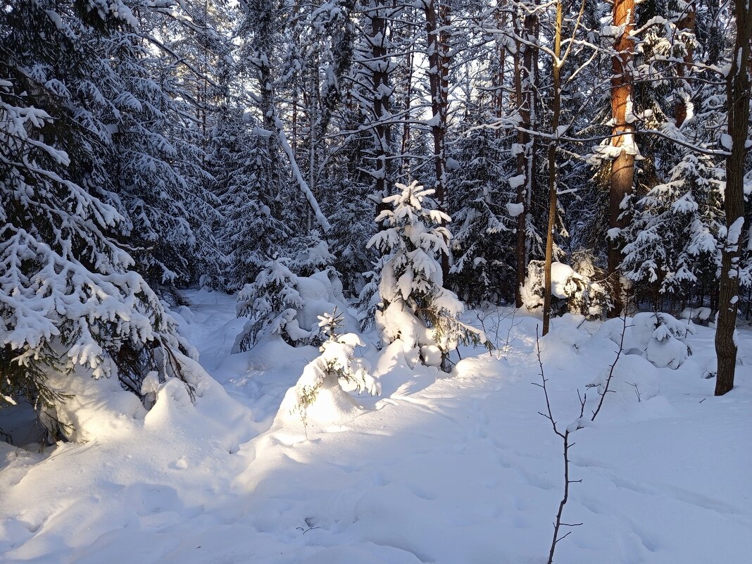 Зимние картинки - Алена 