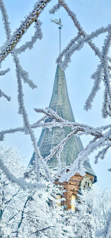 Калининград. Кафедральный собор. - Михаил Свиденцов
