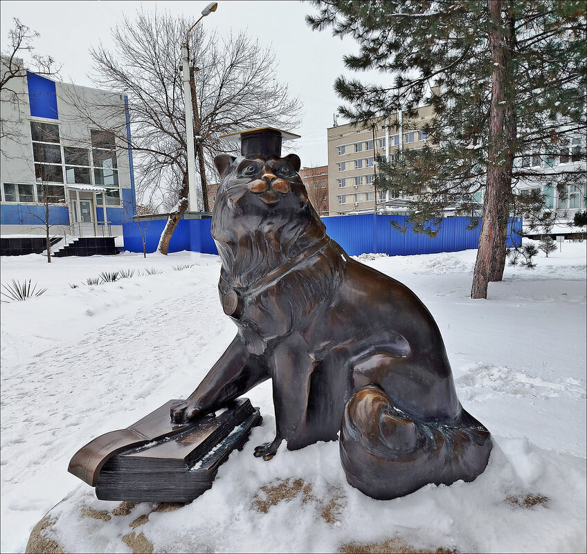 Кот учёный! - Надежда 