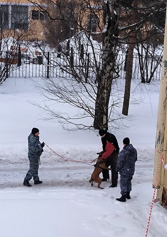 Полицейские будни. - Ольга 