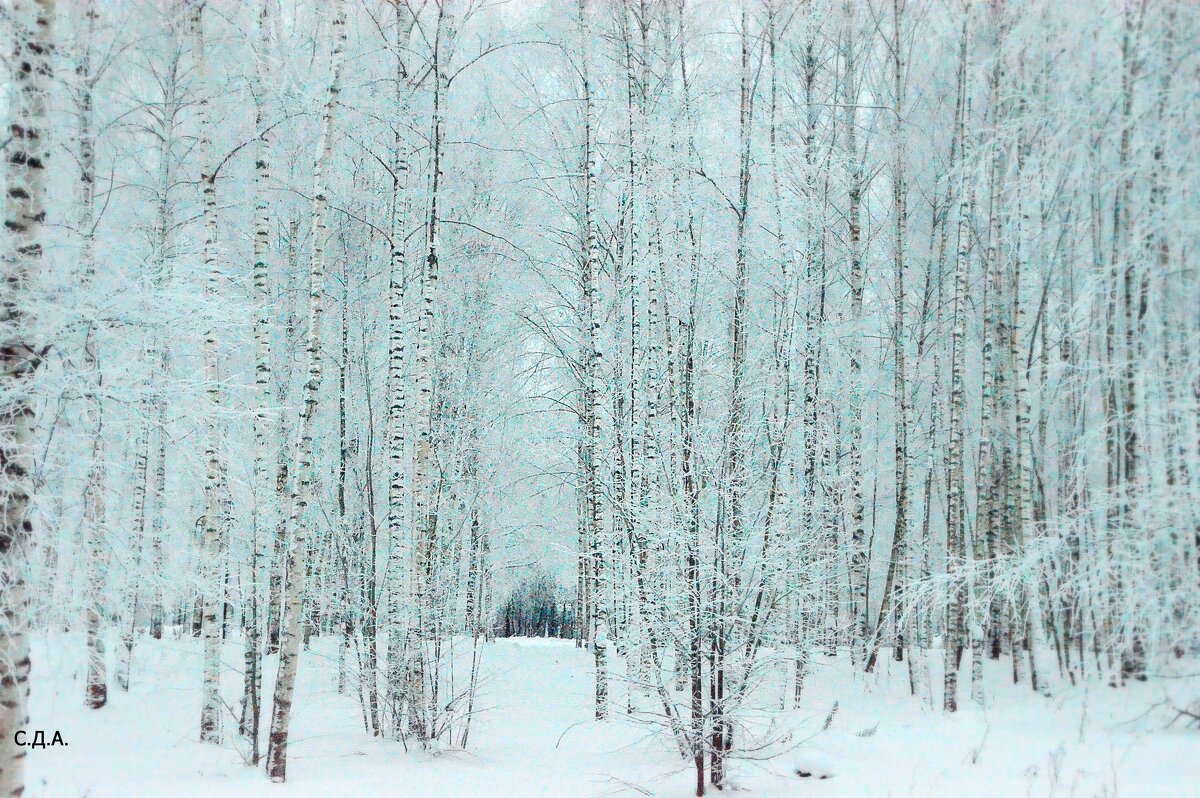 Зима в Подмосковье. Клин - Дмитрий 