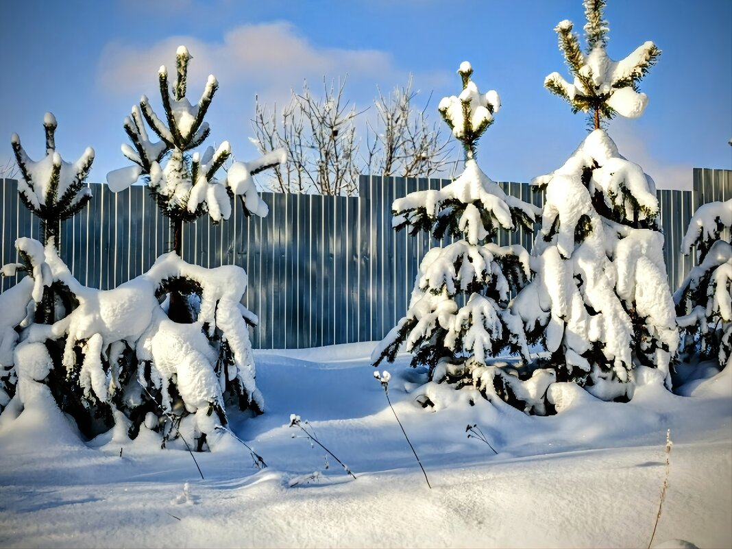 Январь снежный. - Михаил Столяров