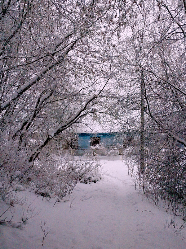 Зима - Сергей Кочнев