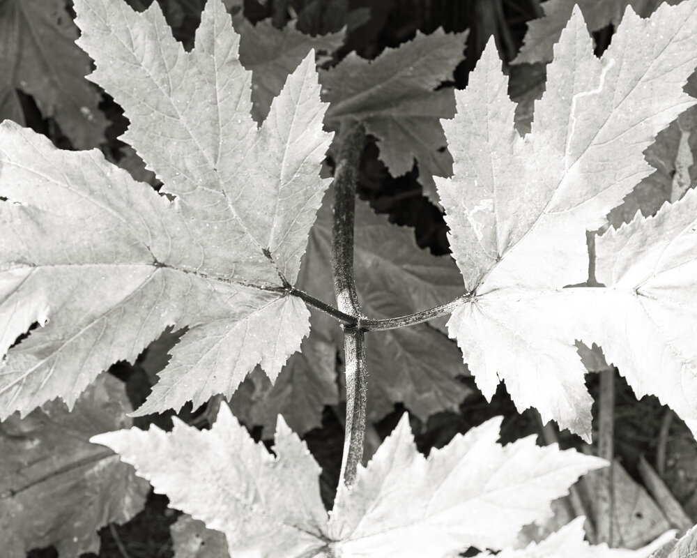 Фотография - Денис Безногов