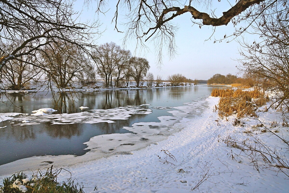 январь... - Александр Герасенков
