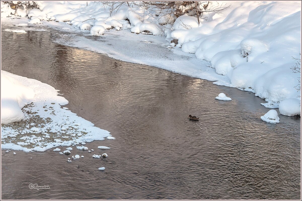 Январским днём... - Aquarius - Сергей