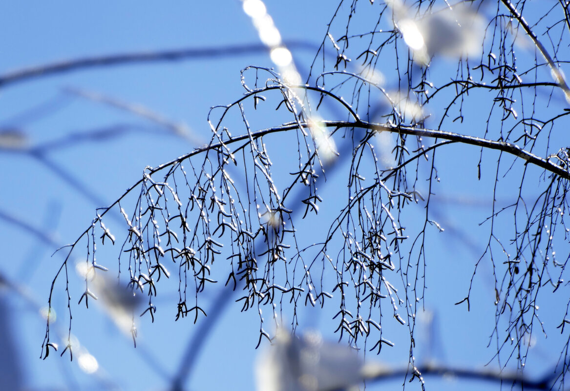 картинки января 26г. 6 - Александр Прокудин картинки января 26г. 6 - Александр Прокудин