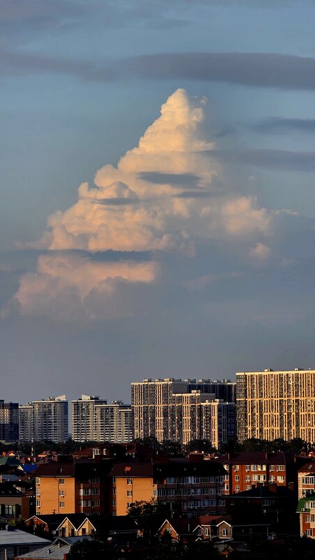 Между домами и вечностью - Ольга Косачова Между домами и вечностью - Ольга Косачова
