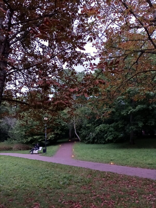 По дорожкам парка... - Veera V По дорожкам парка... - Veera V