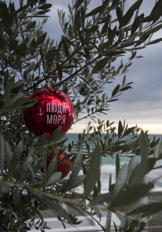 после  праздника,,,, - Елена Агеева