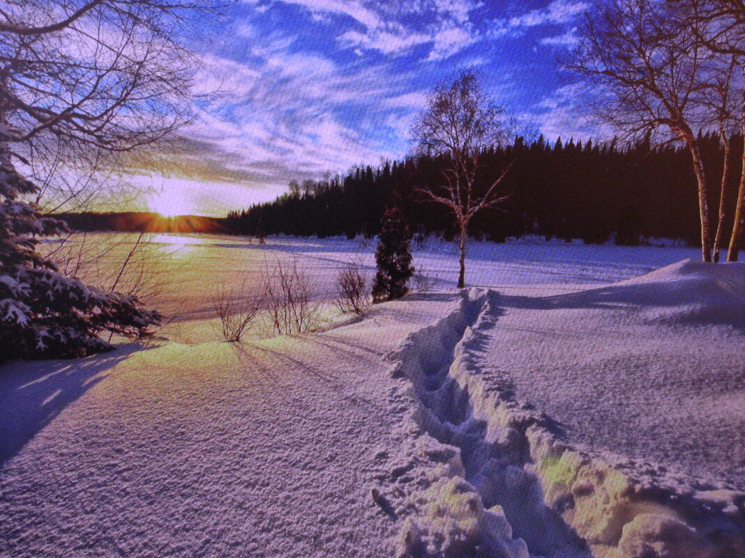 Зимняя красота - Людмила Смородинская