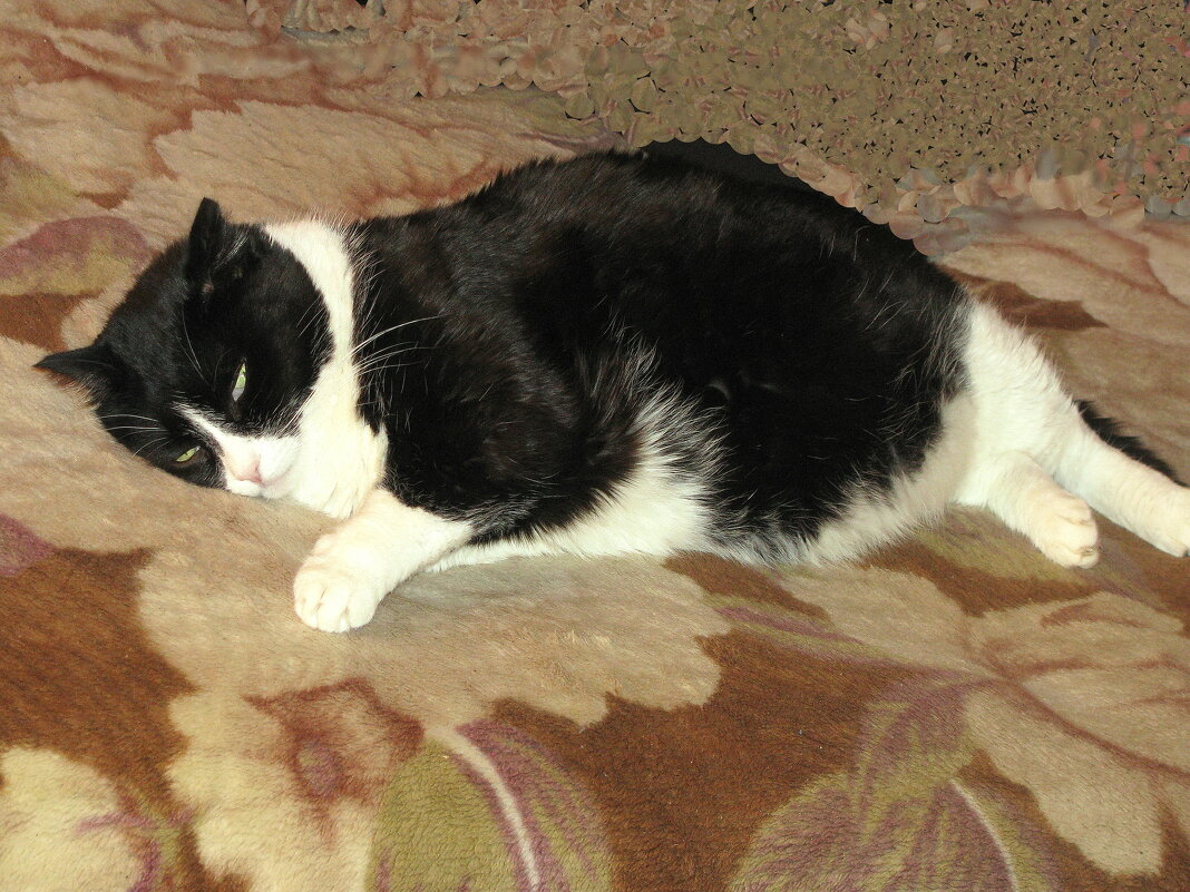 Балдеет - Людмила Смородинская