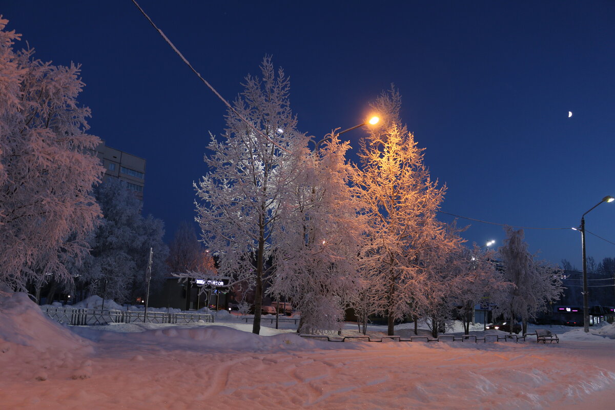 Ах, этот вечер... - Ольга 