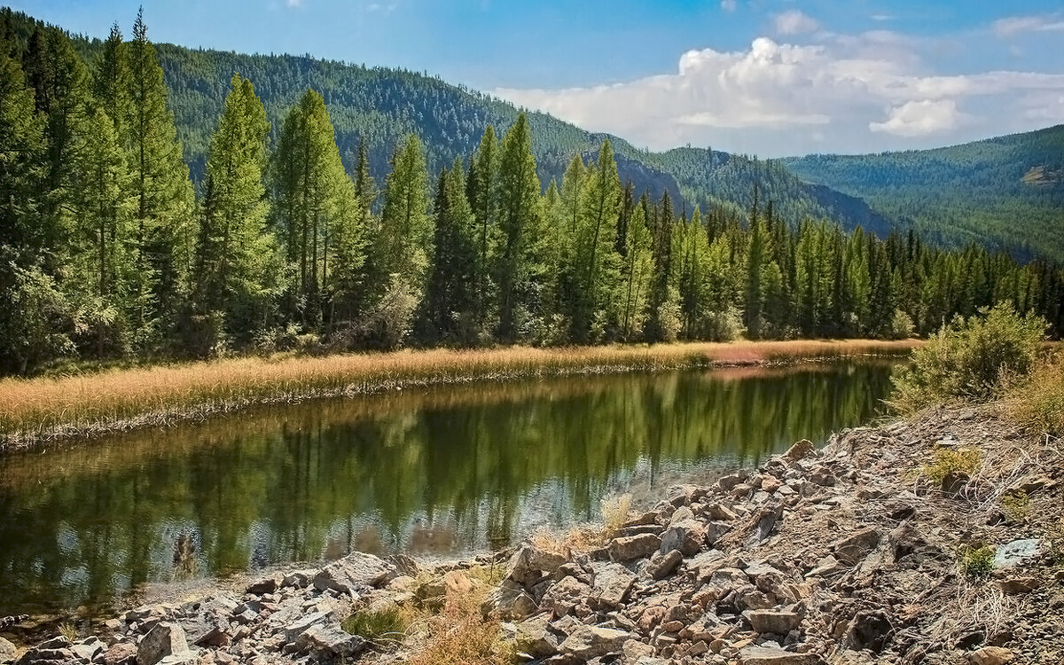 Воспоминания о Горном Алтае - елена беликова