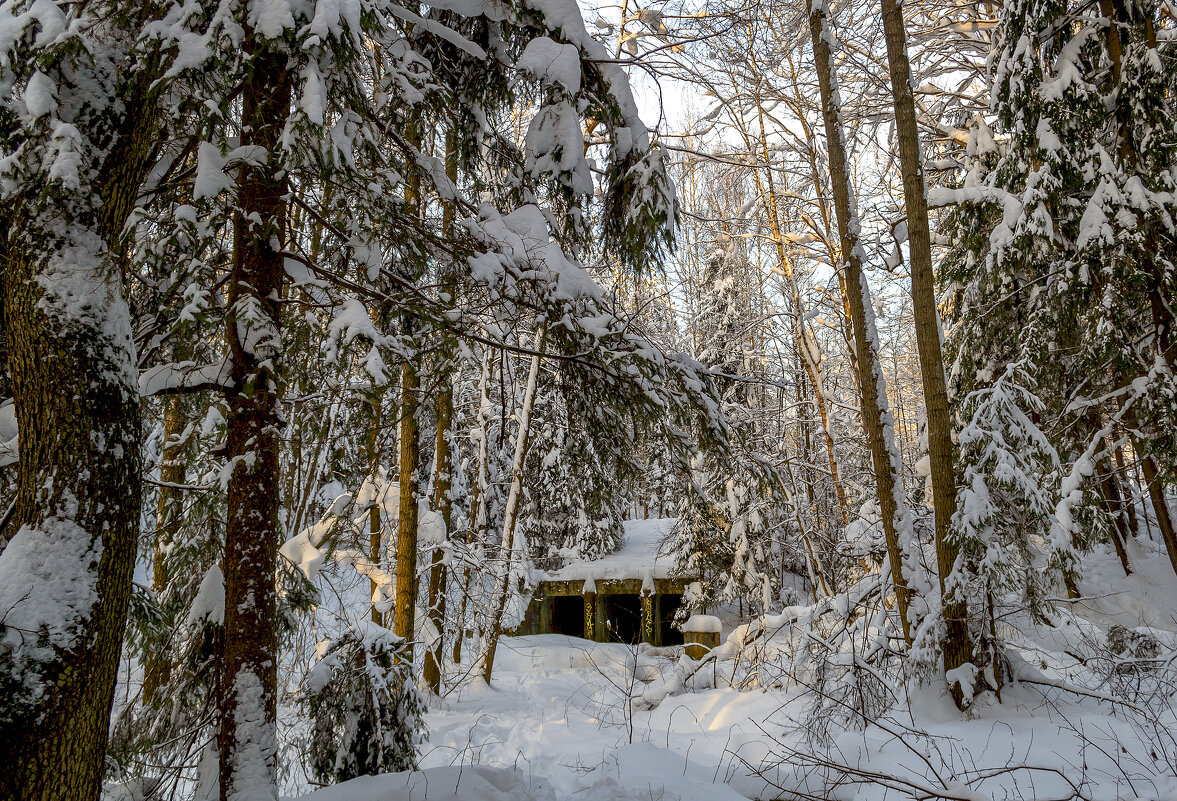 Про зиму - Сергей Цветков