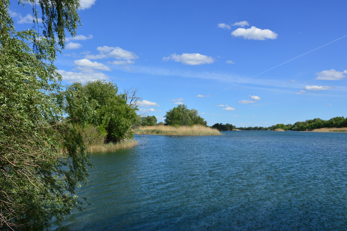 Местная река. - Виктор 