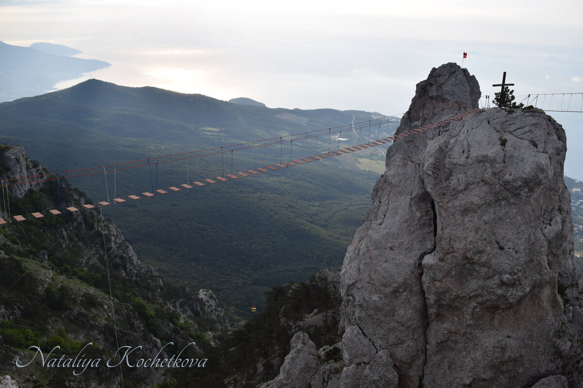 Природа Крыма - Amazing Cosmea