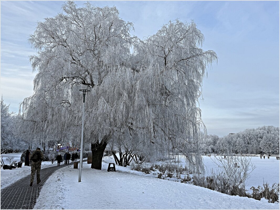 Картинка зимы. - Валерия Комова