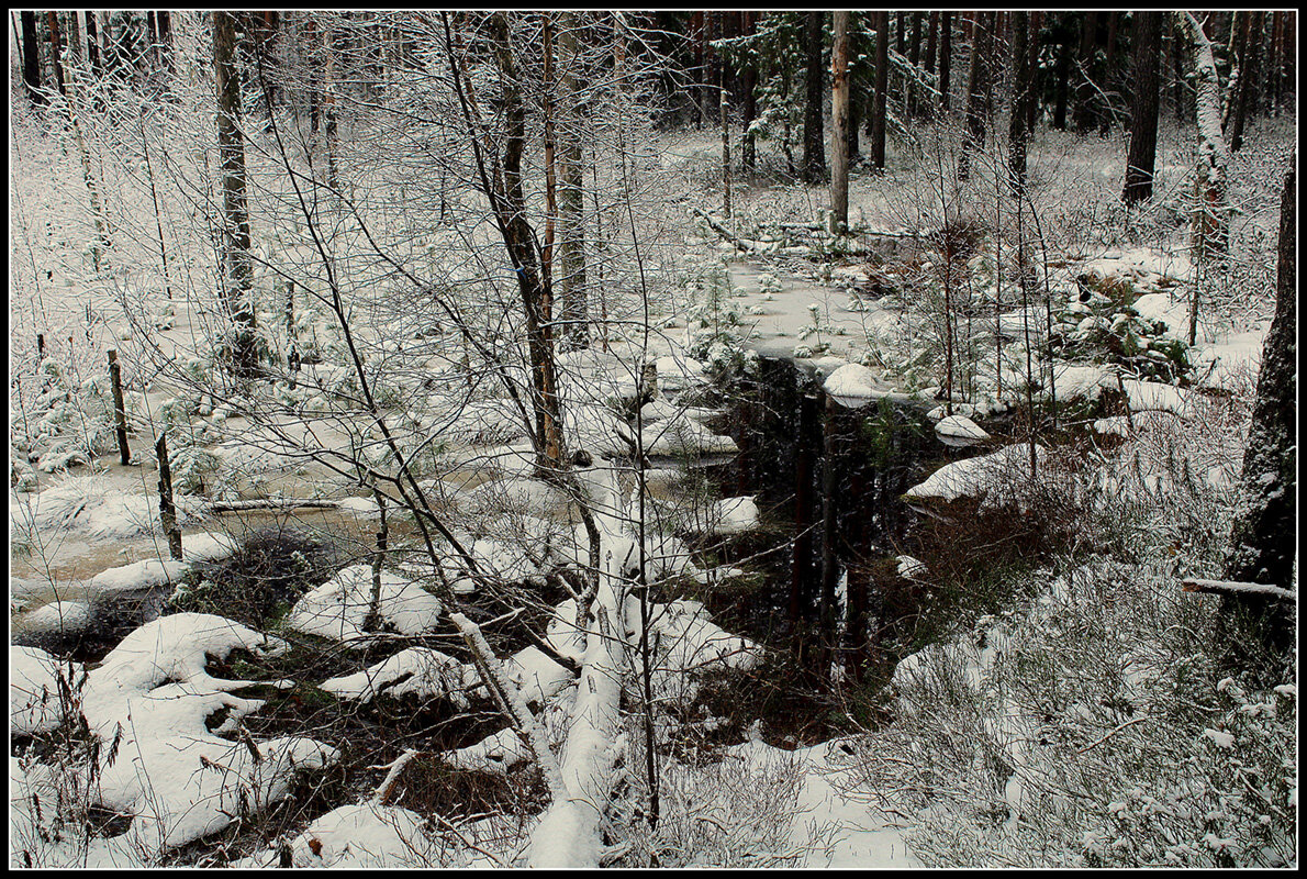 Зима на болоте - Aleksandr Gal