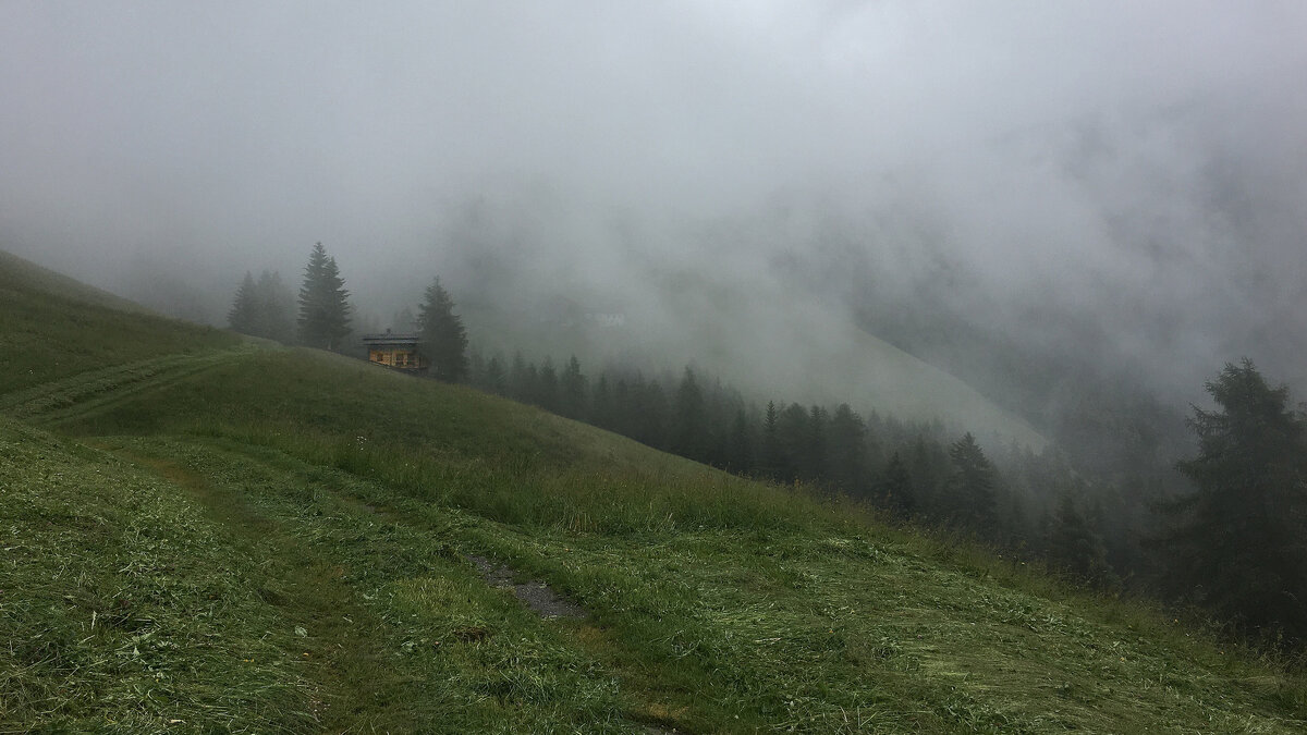 Туманное утро - XX 74