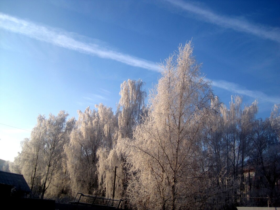 Морозным днем - Елена Семигина