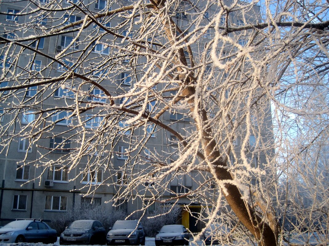 Морозные кружева - Елена Семигина