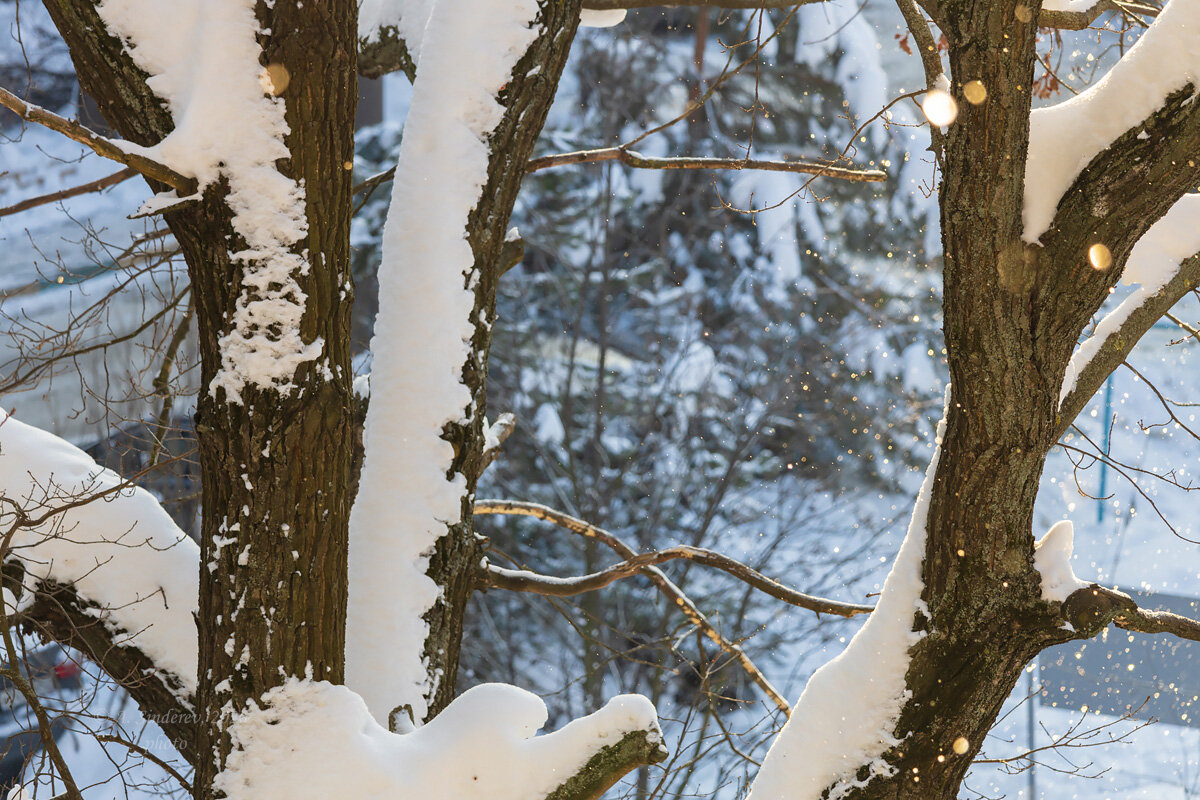 Снег искрится на солнце - Александр Синдерёв