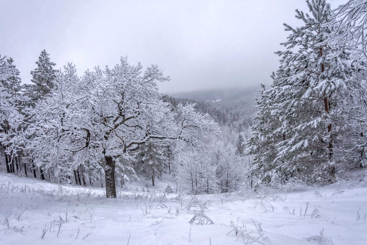 И в самых незатейливых вещах вдруг разглядеть немного волшебства... - Наталья Димова