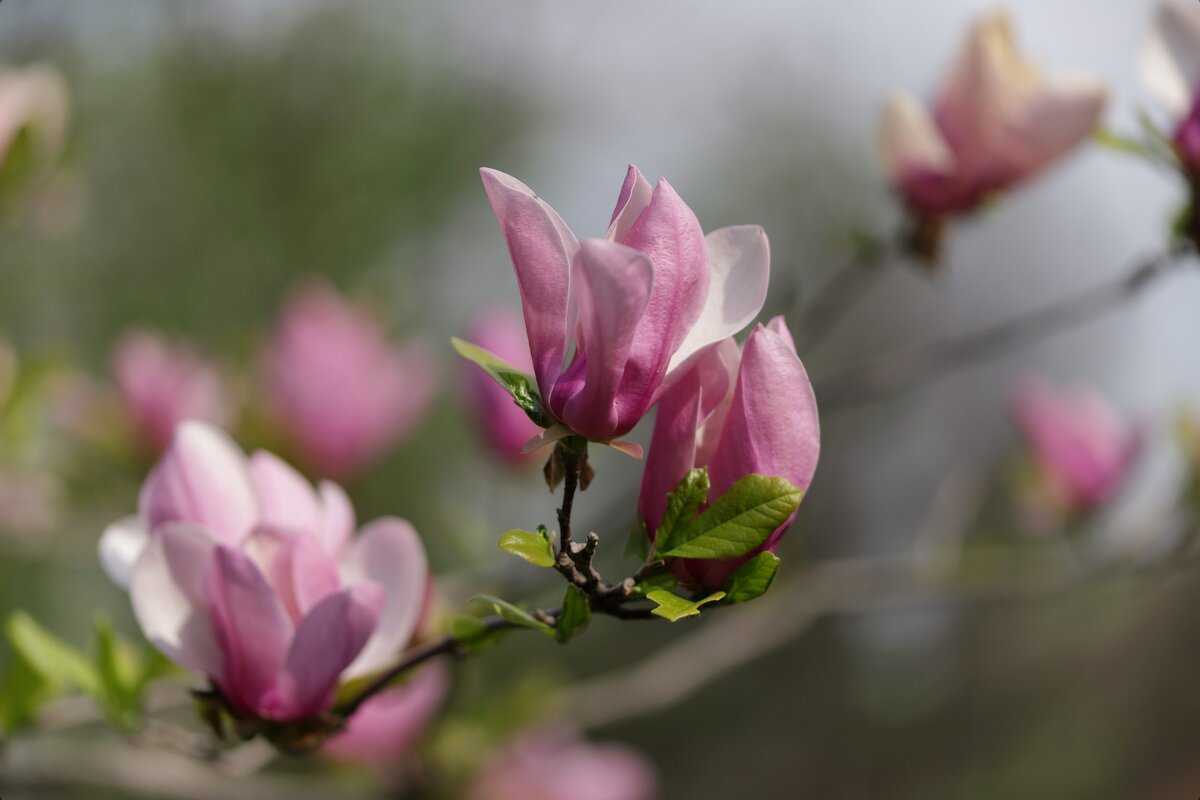 .. - Андрей Щукин