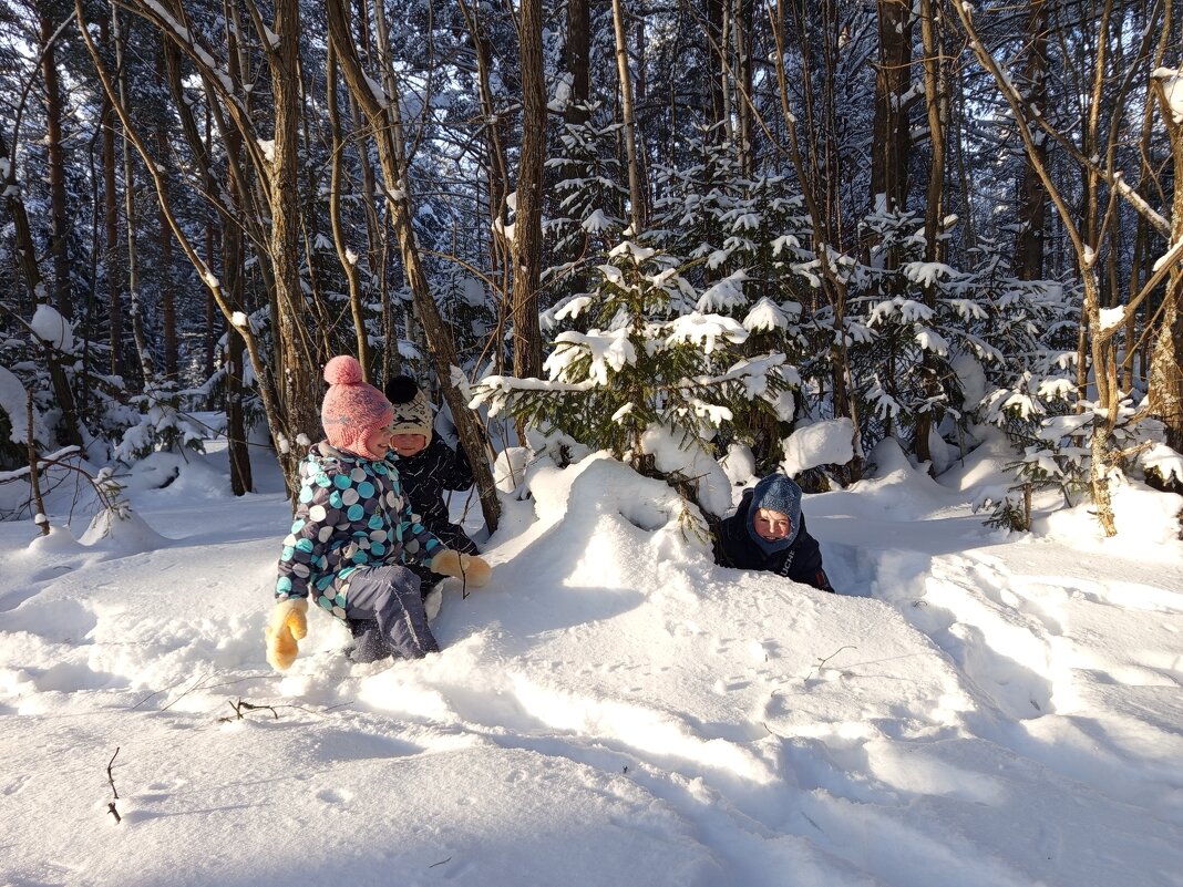 В прятки в лесу! - Алена 