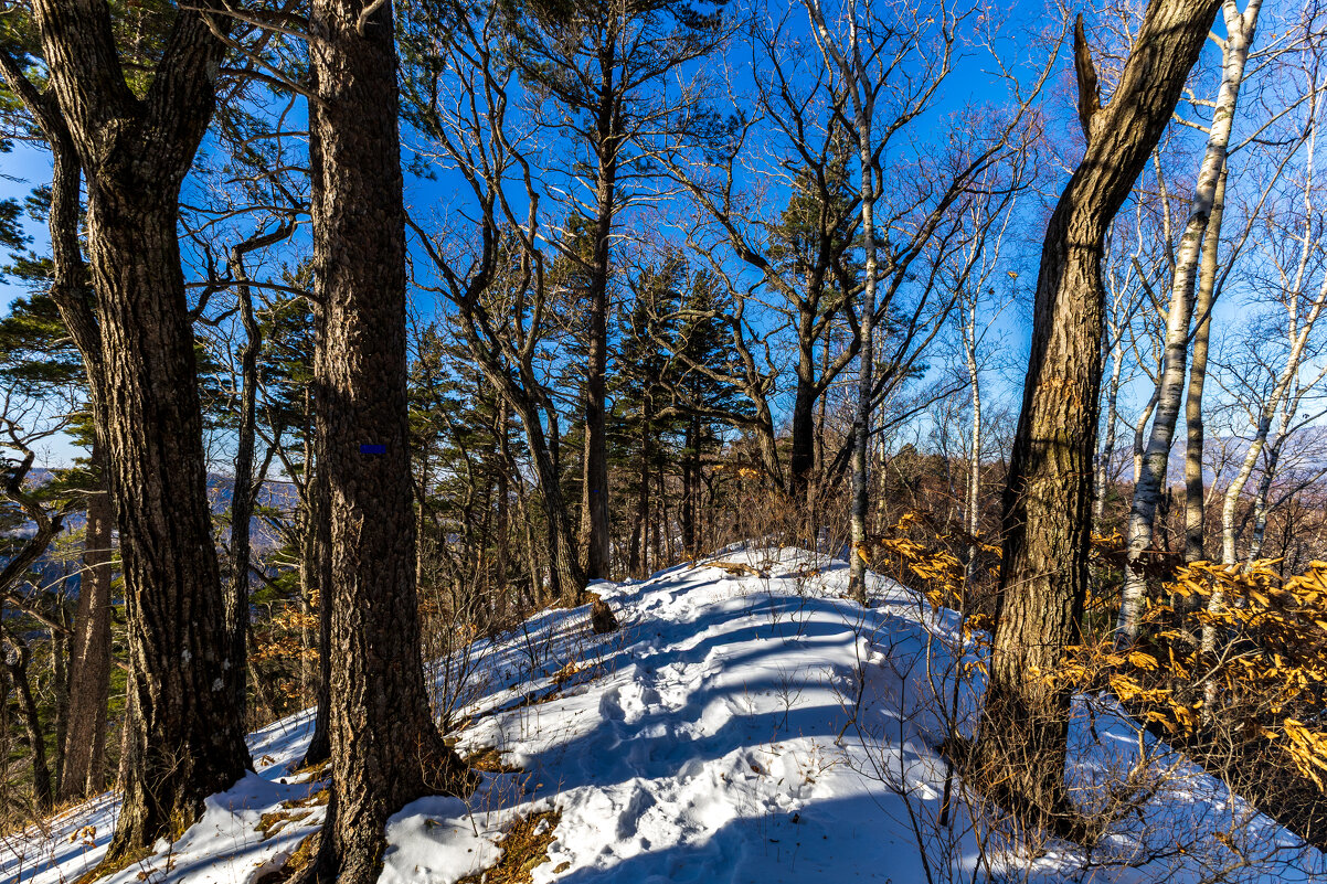 Troll Trail - Шурф Сьлядек 