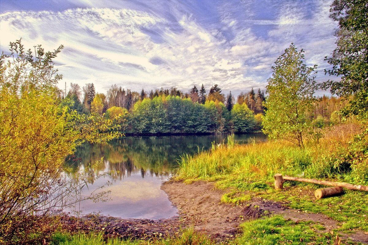 ... - Вячеслав Минаев