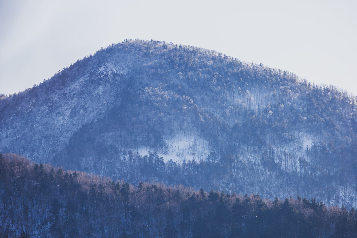 Фалаза, вид со стороны. - Шурф Сьлядек 