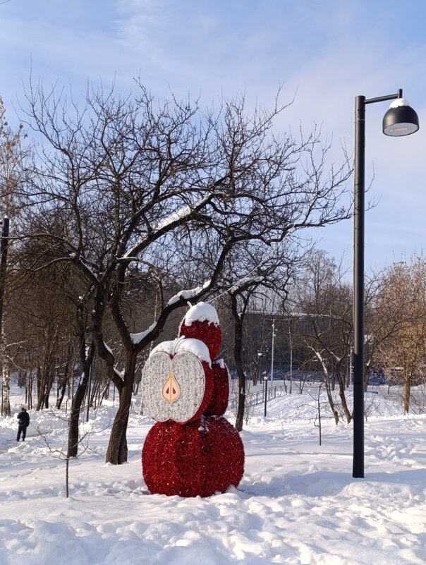 Старая яблоня. - tatiana 