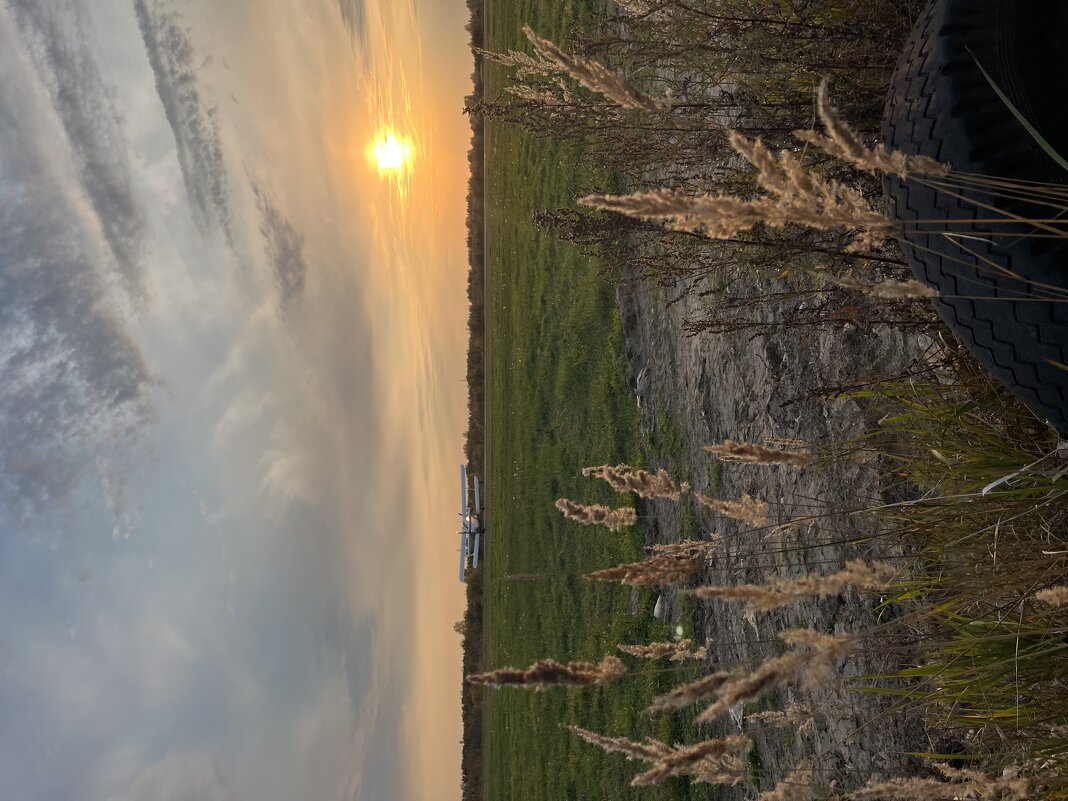 Закат - Эльвира Белянская