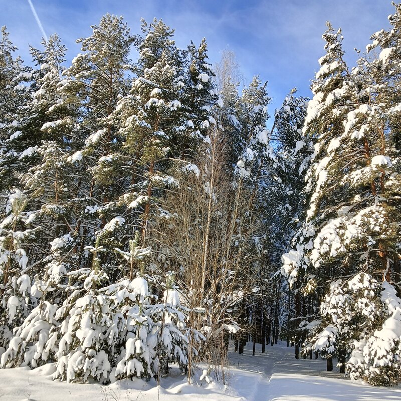зима   солнце - Владимир 