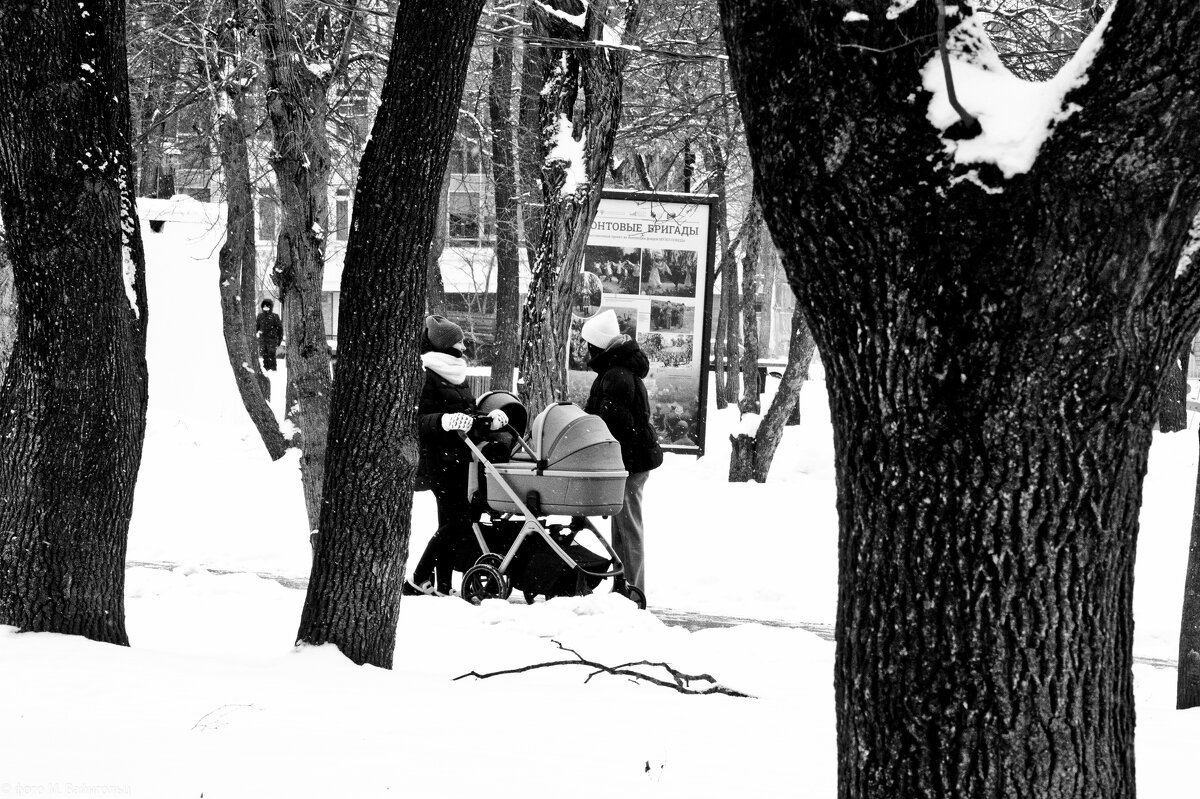 Посленовогодие. Белгород. - Михаил 