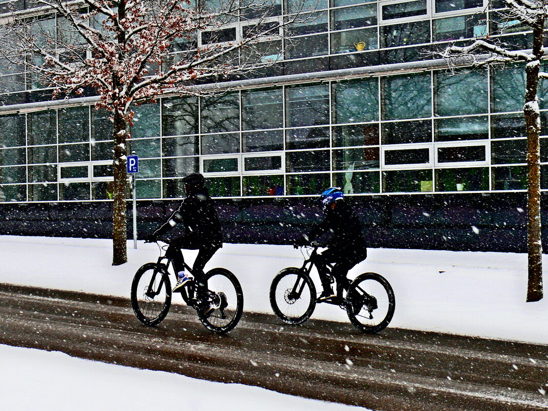 Южная зима - 17 - Алексей Кузнецов