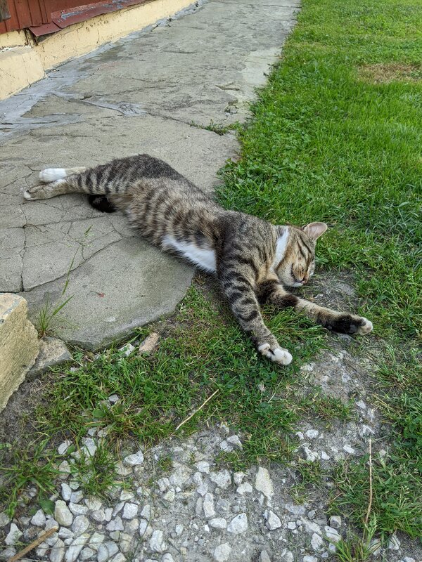 - Жить хорошо! - Валерий Судачок