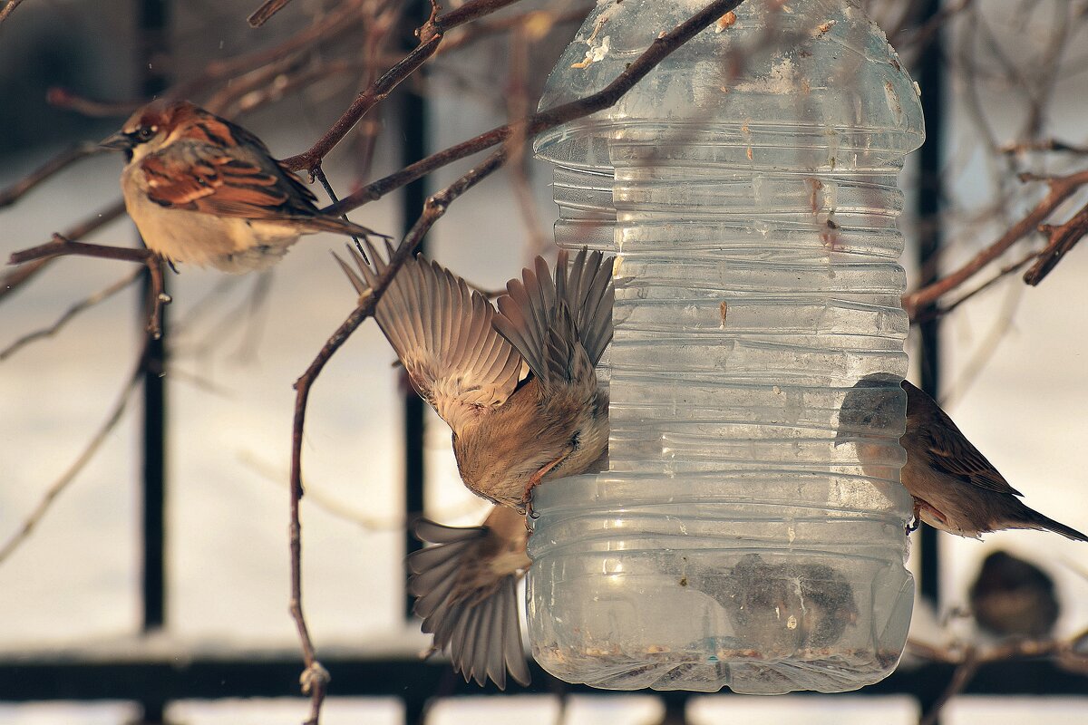 Кто смел, тот и съел. - Татьяна Помогалова