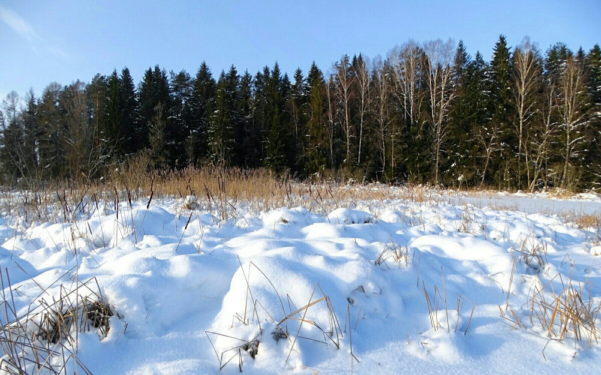 Замёрзшее озеро. - Милешкин Владимир Алексеевич 