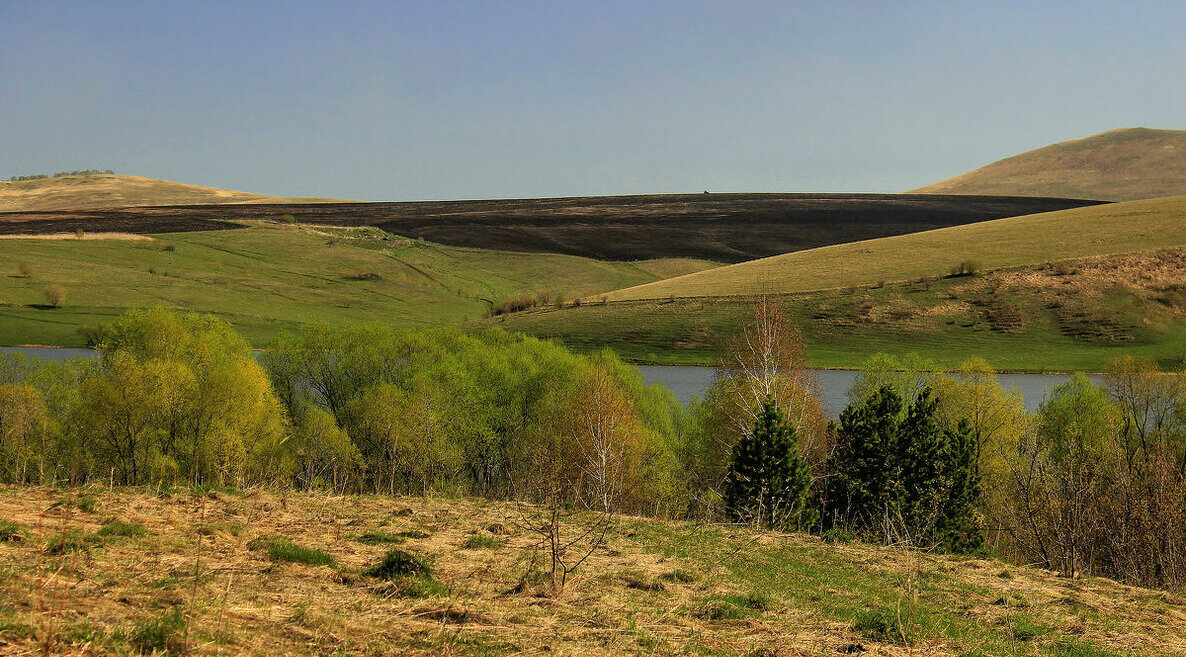 Весенние горизонтали - елена беликова Весенние горизонтали - елена беликова