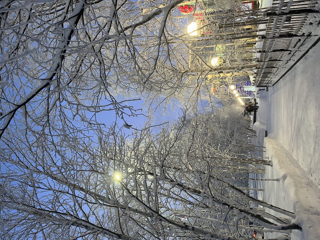 Утро - Эльвира Белянская Утро - Эльвира Белянская