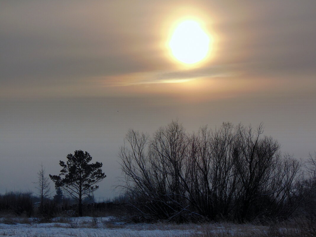 Холодное солнце. - nadyasilyuk Вознюк Холодное солнце. - nadyasilyuk Вознюк